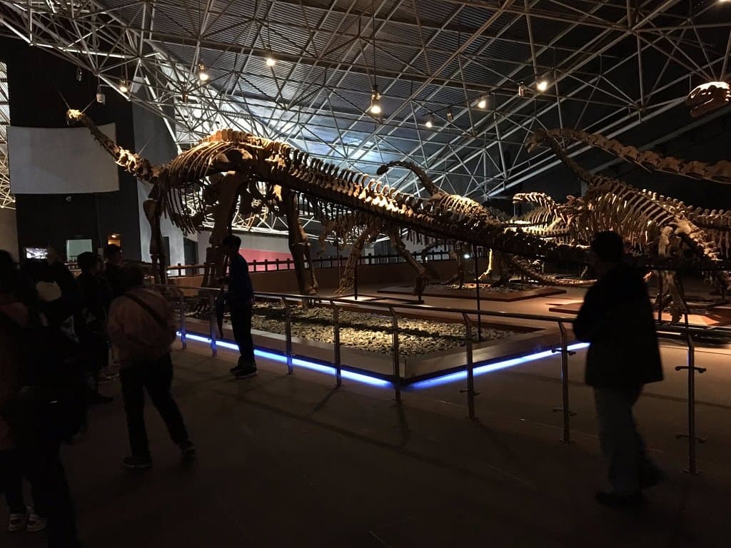 huge fossil skeletons 2+ stories tall
