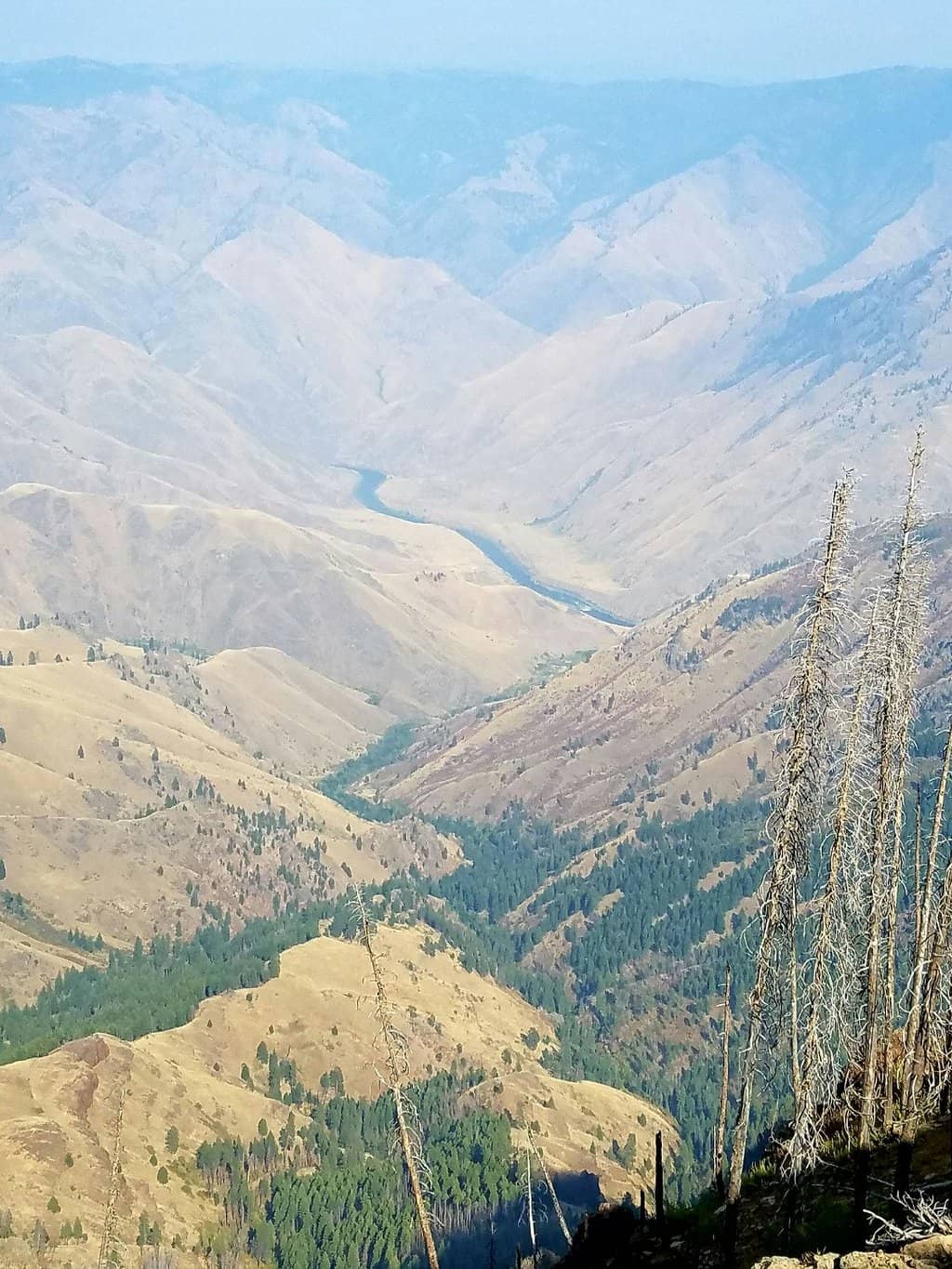 Vertical photo