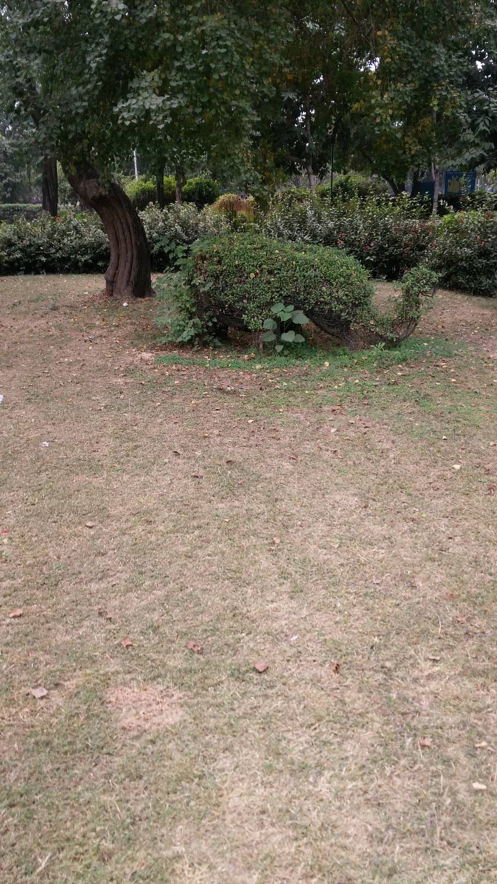 Peaceful Green Lawns