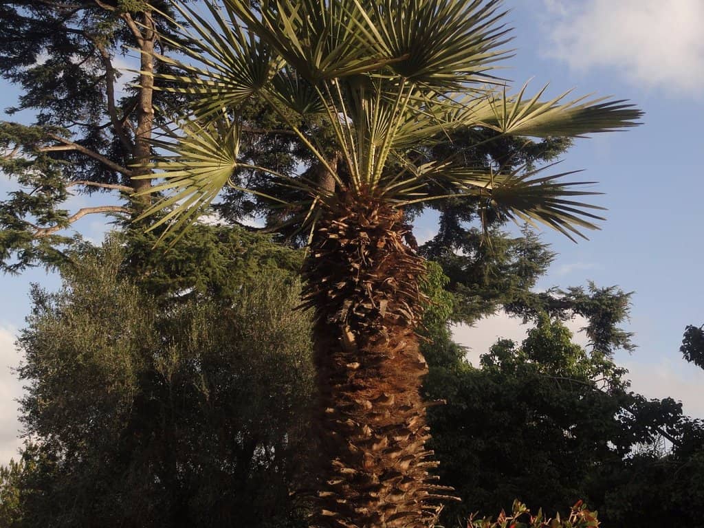 Green Spaces & Picnics