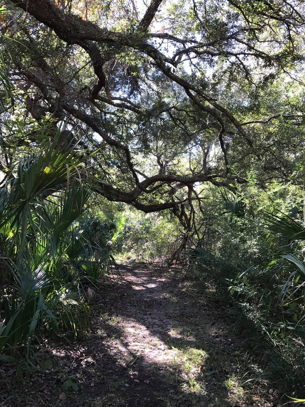 Wildlife Encounters