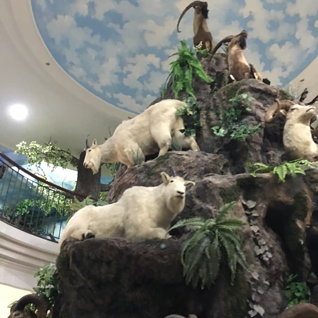 Rahmat International Wildlife Museum Medan