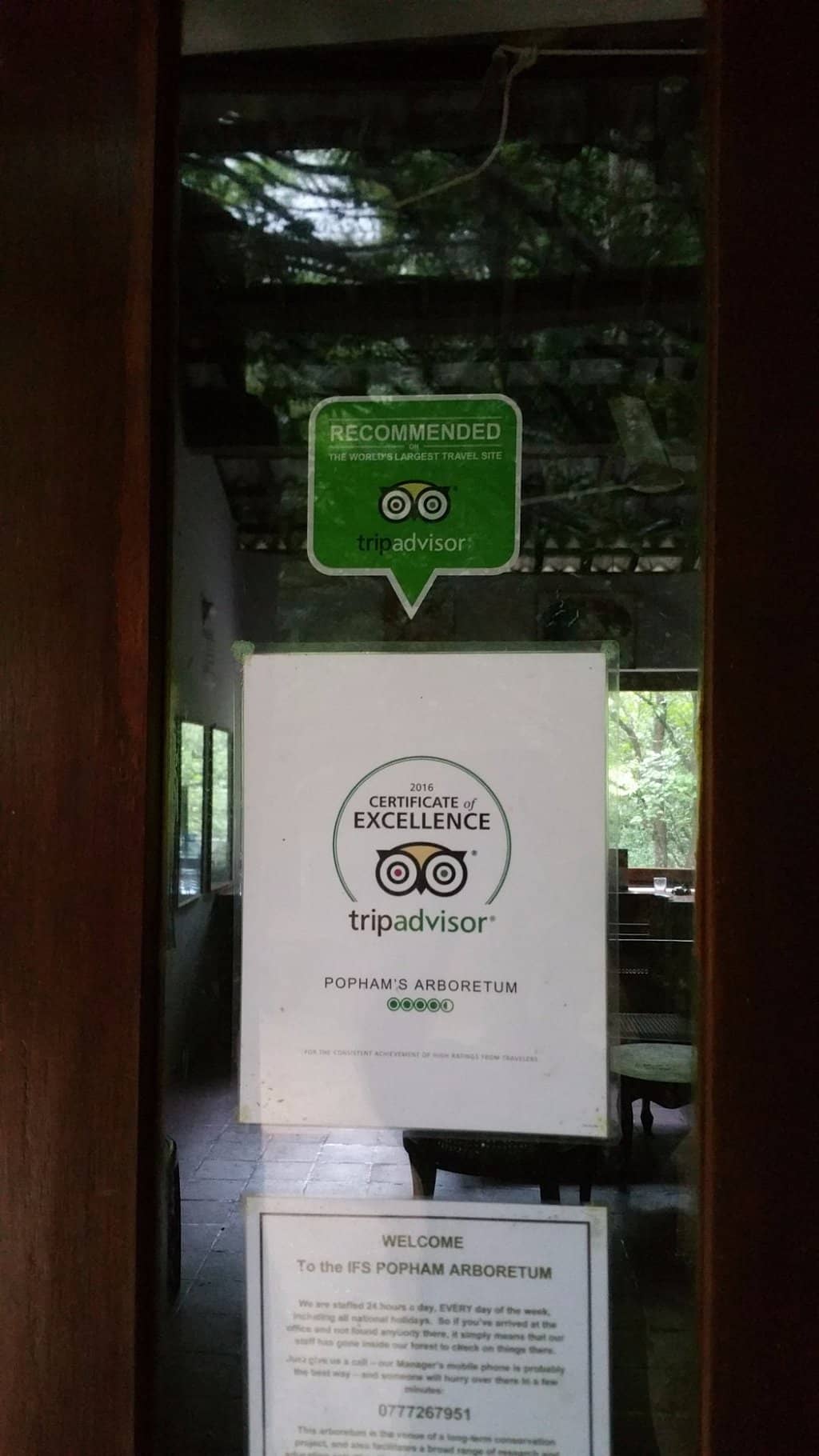 Bat Colonies