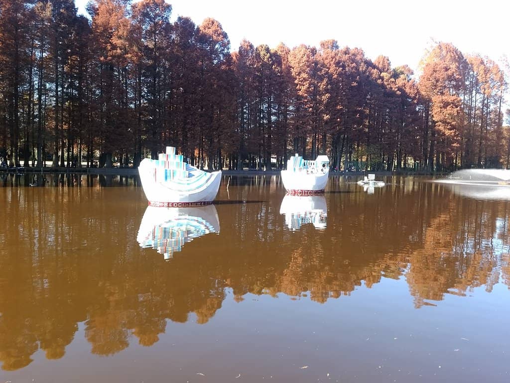 Vibrant Autumn Colors