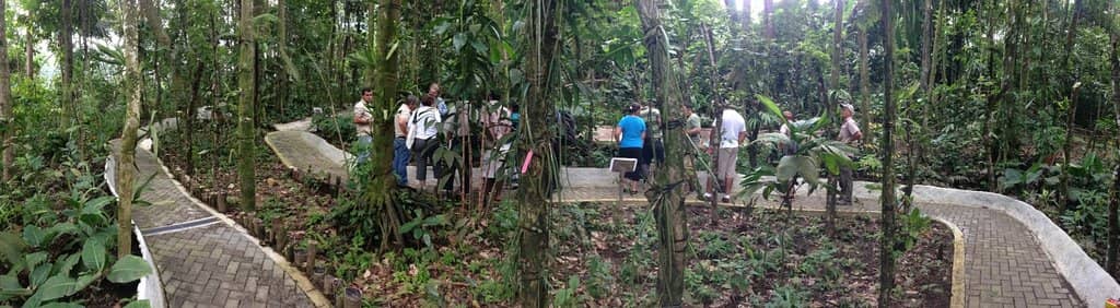 Refreshing River Swim