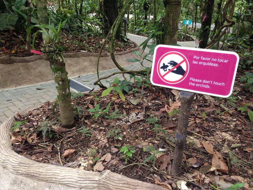 Scenic Staircase Descent