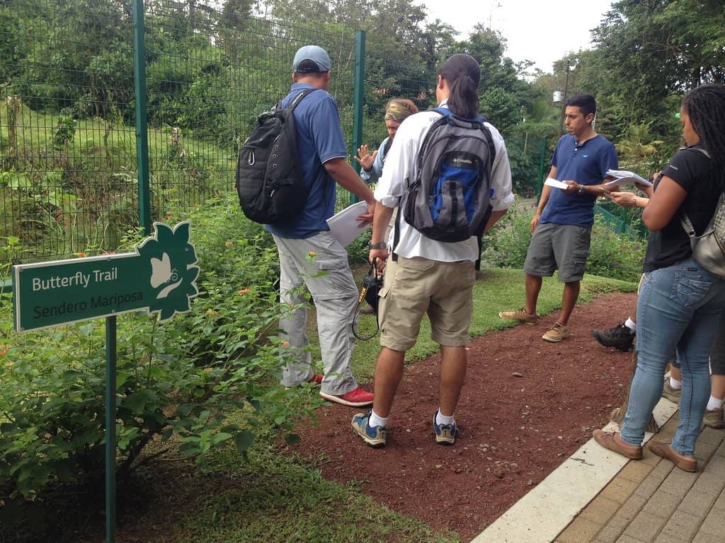 Refreshing River Swim