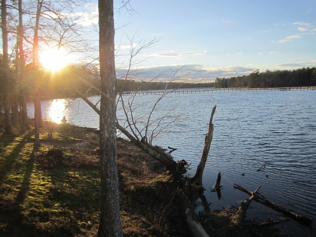 Take from path at Dam #1