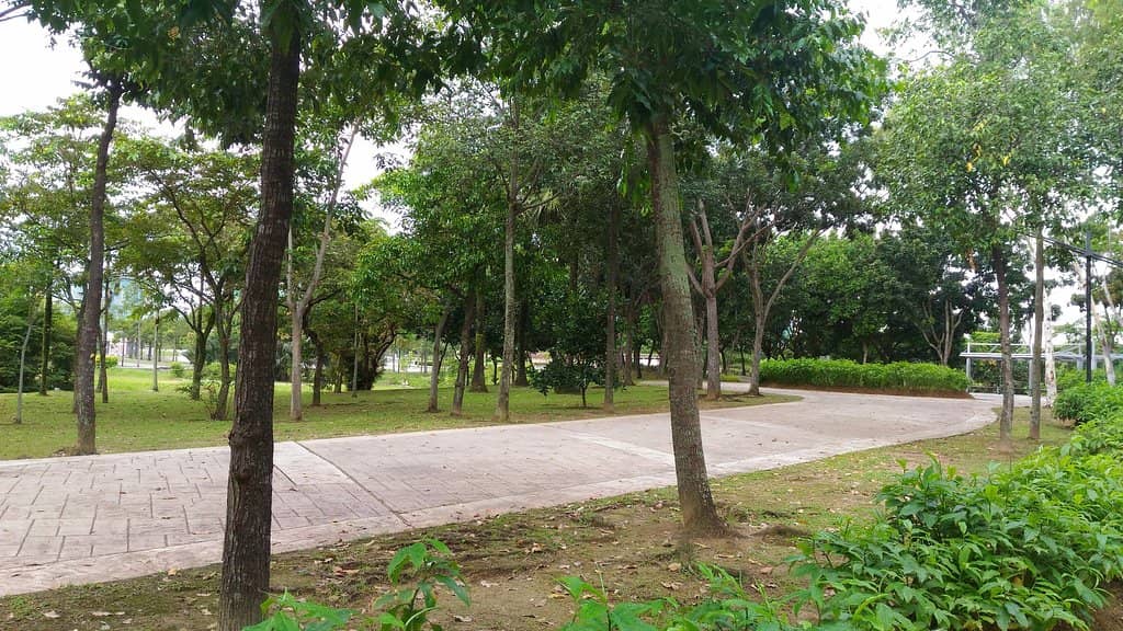 Sunday Farmer's Market