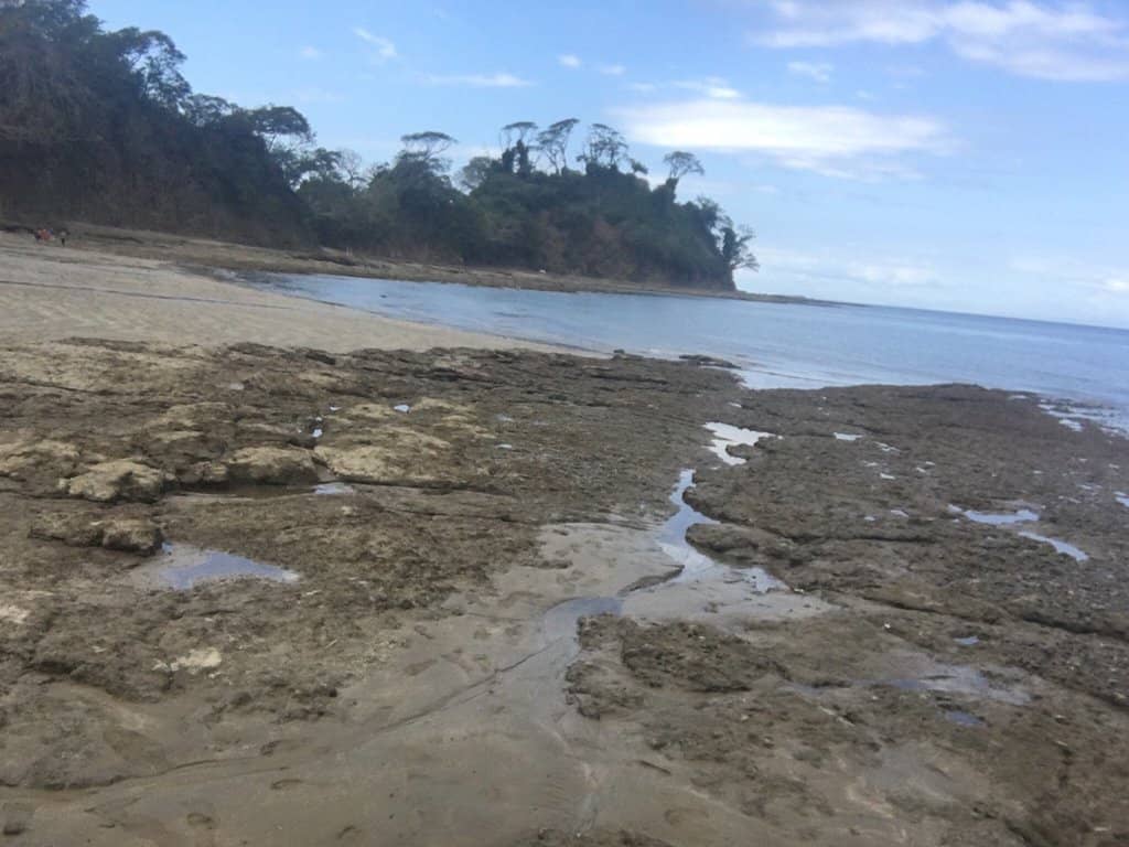 Peaceful Swimming Waters