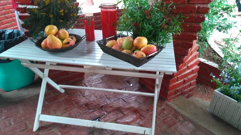 Scenic Views & Gardens