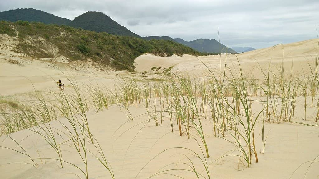 Natural Sculptures