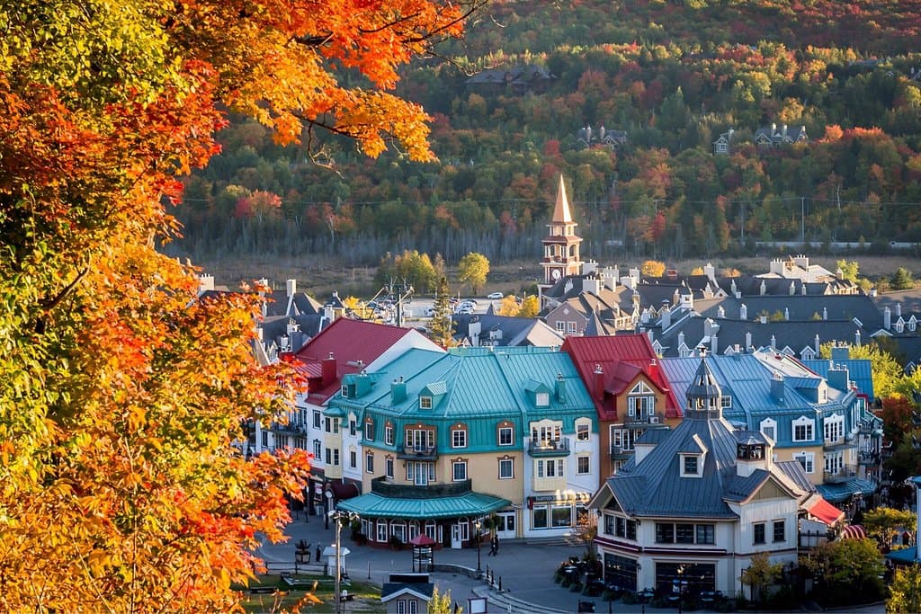 Fall colors