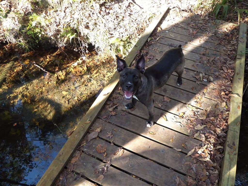 Diverse Hiking Trails