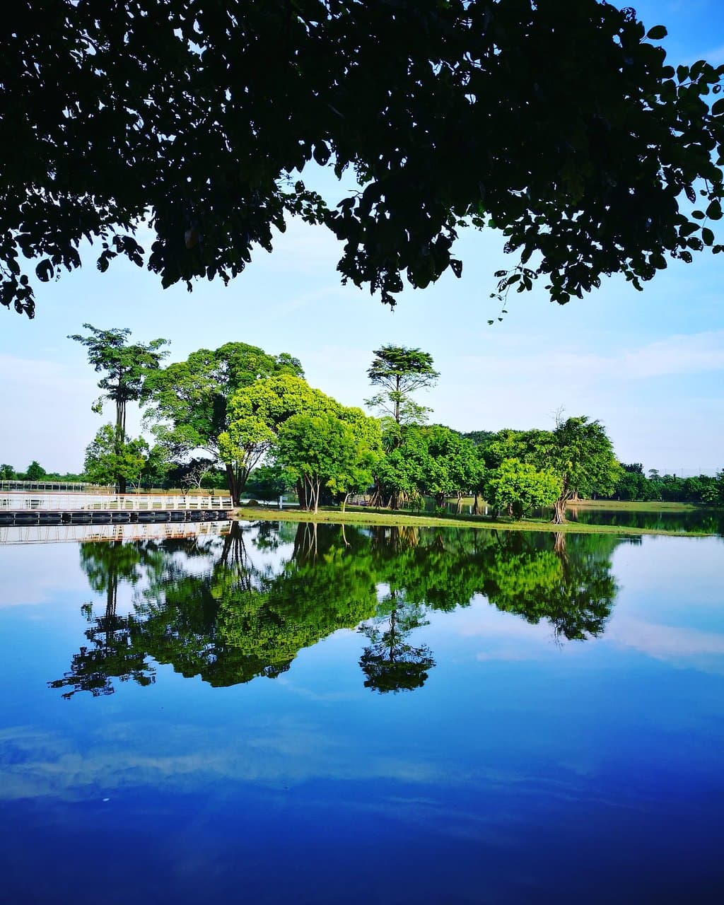Cyberjaya Lake Gardens