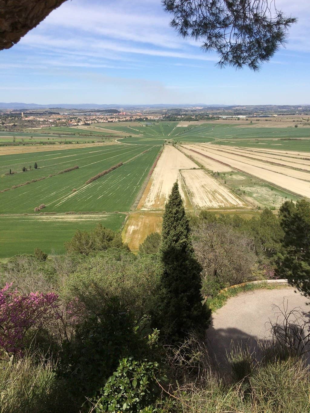 Ancient Human History