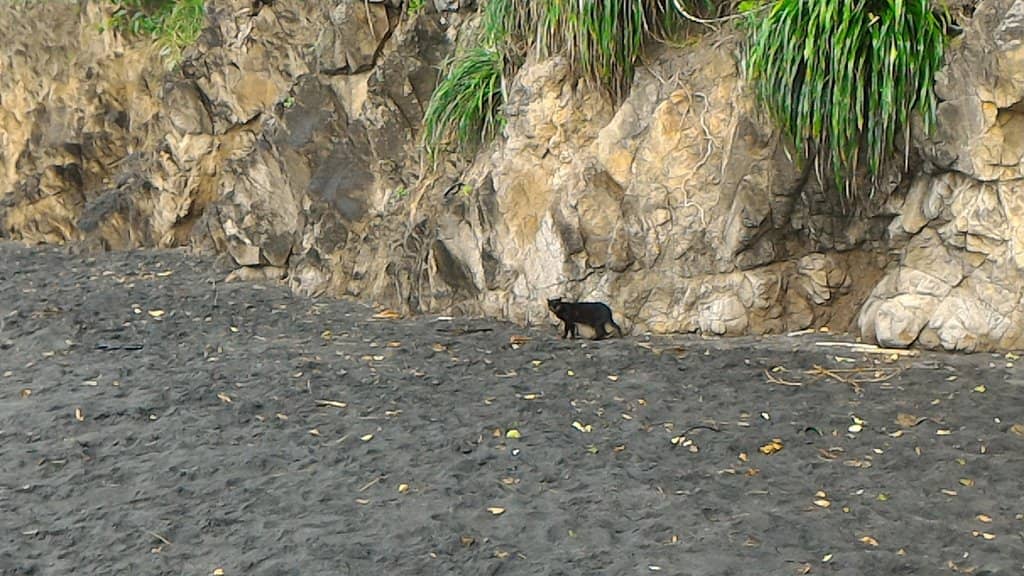 Cascading Waterfall Hike
