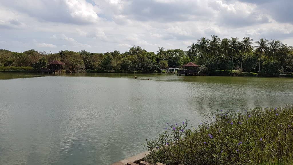 Botanical Garden Paths