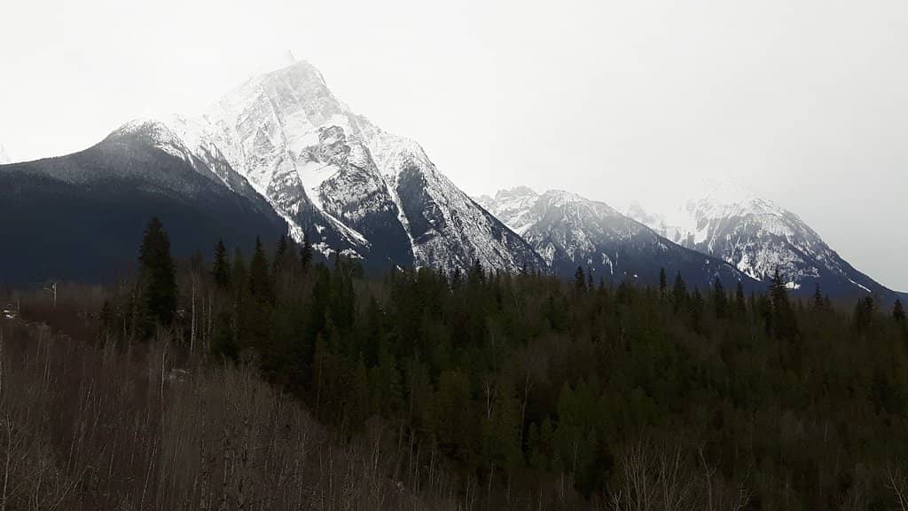 Panoramic Canyon Views