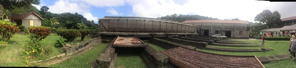 Tree-to-Bar Chocolate Tour