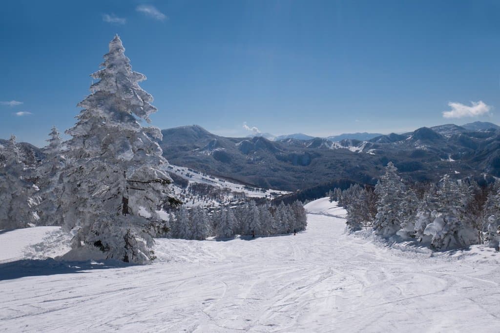 Panorama course (Red) from the top of Yakebitaiyama