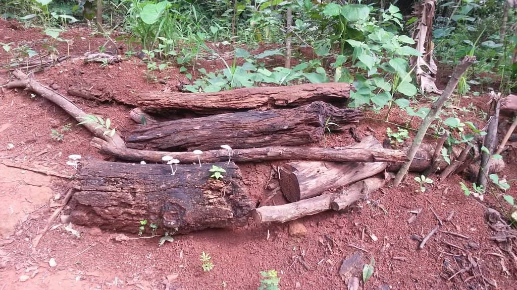 Outdoor Fitness Zone