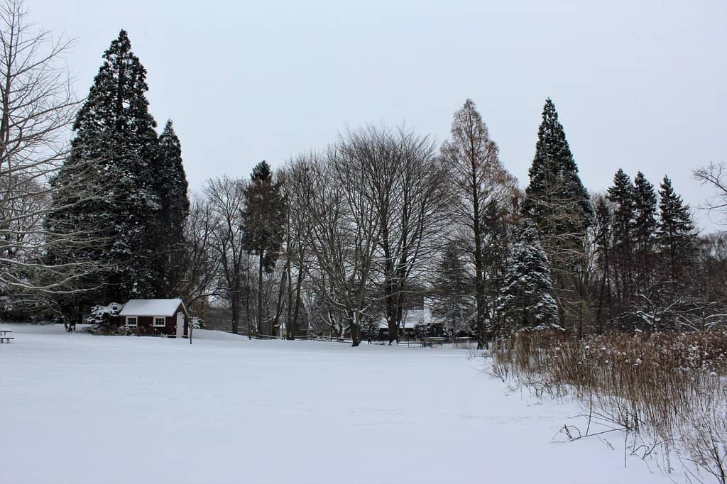 Tranquil Nature Strolls
