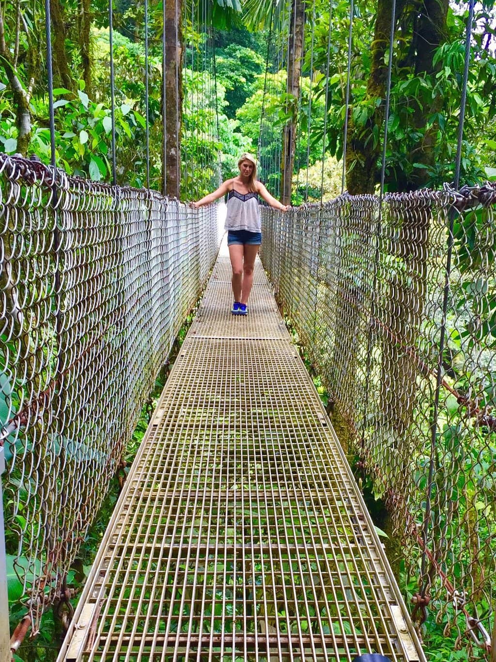 Rainforest Wildlife Spotting