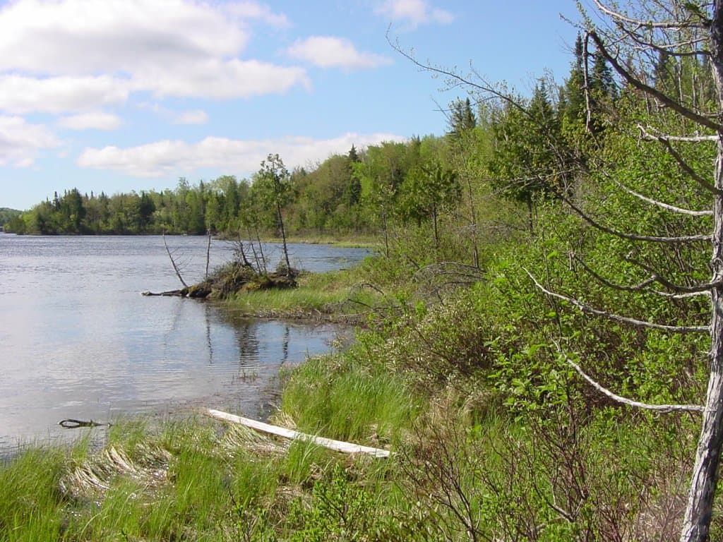 Shoreline