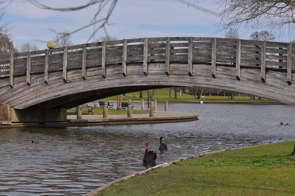 Christmas in the Park