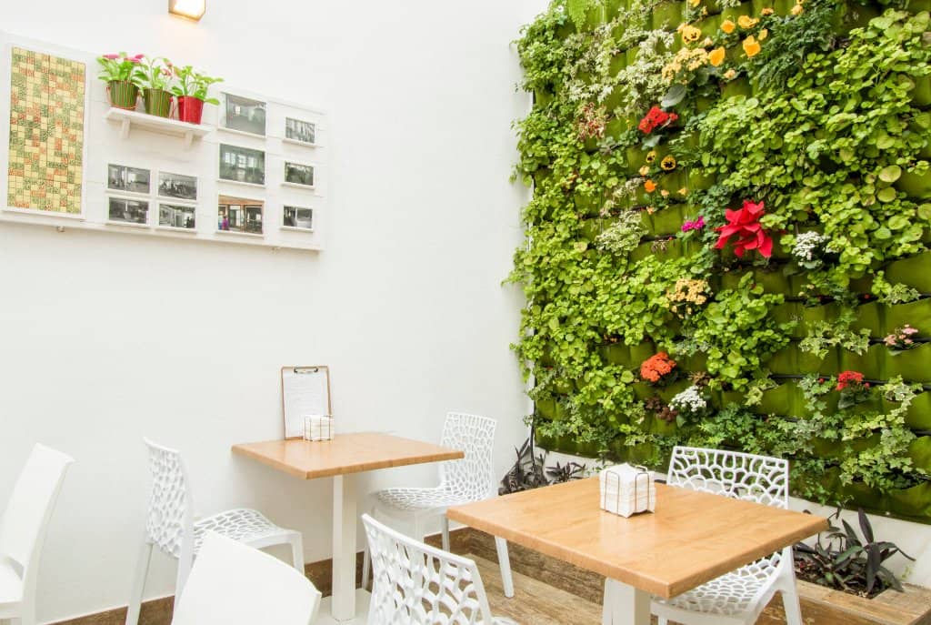 Signature Octopus Dish