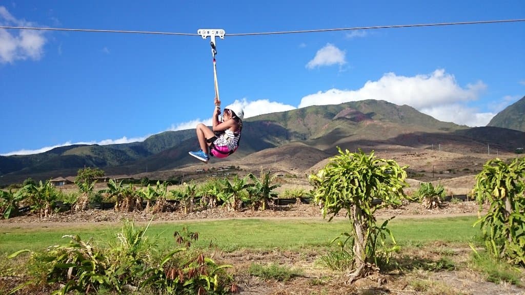 Classic cannon ball helps our smaller guests go fast on the zipline!