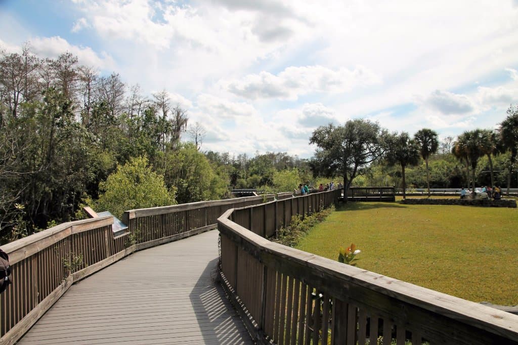 Boardwalk overlooking water