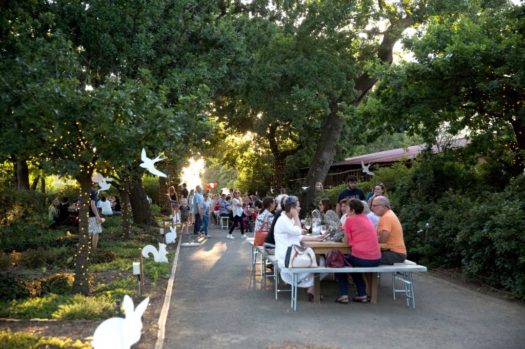 Kids' Water Play Area