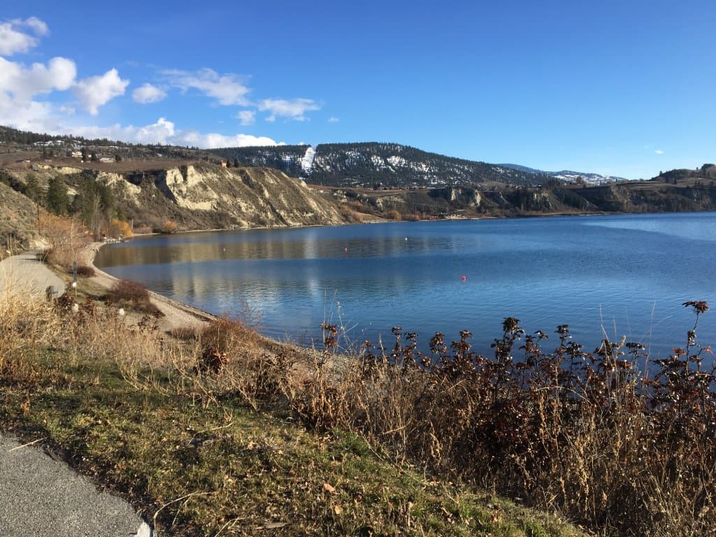 leash free dog beach