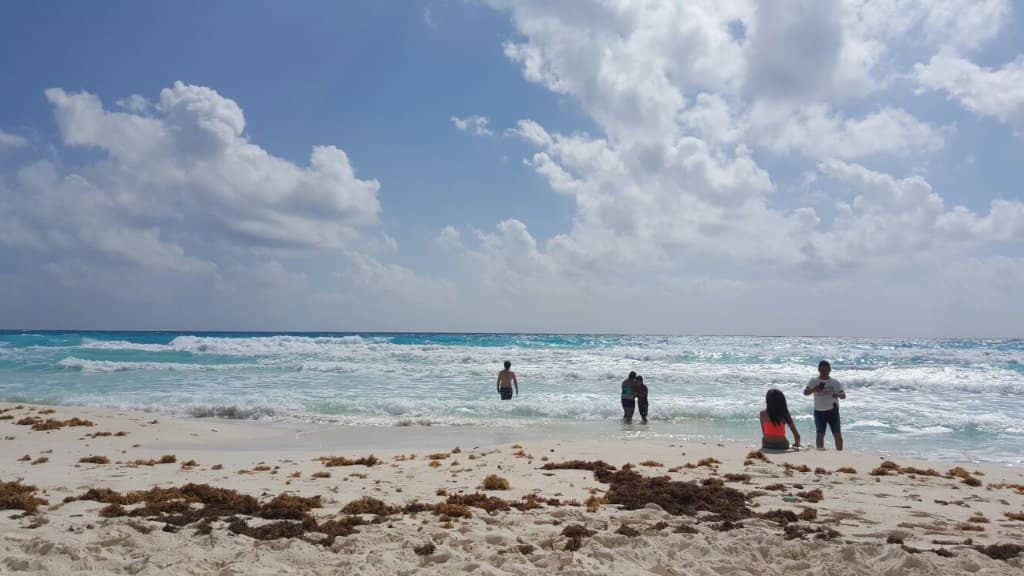 Vibrant Beach Vibes