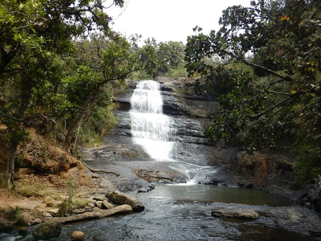 Scenic Nature Hike