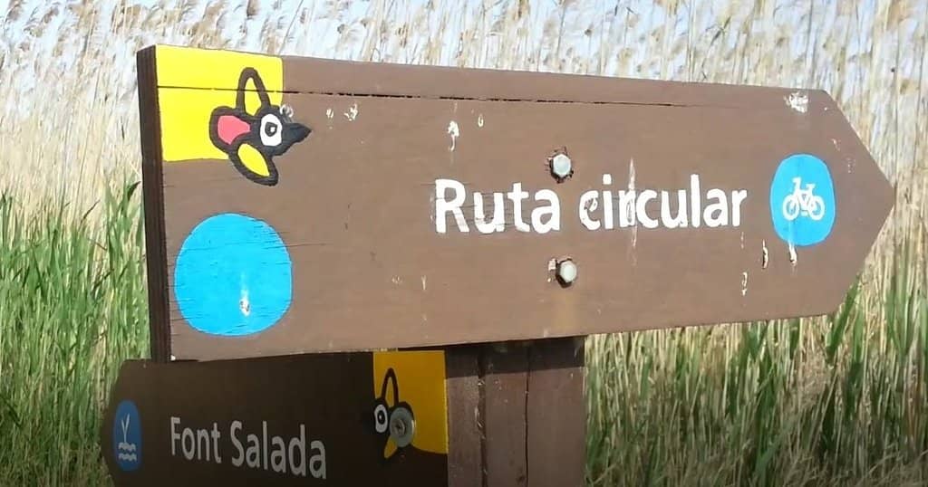 Font Salada Spring
