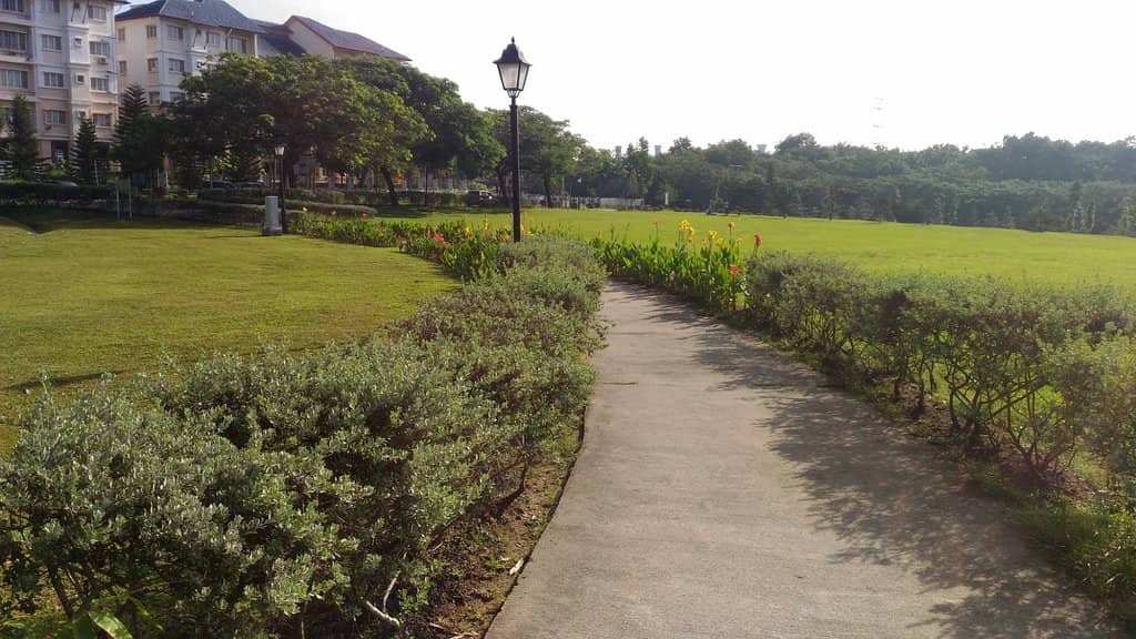 Well-Maintained Trails