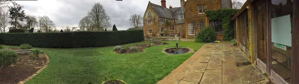 Unexpected Flamingo Residents