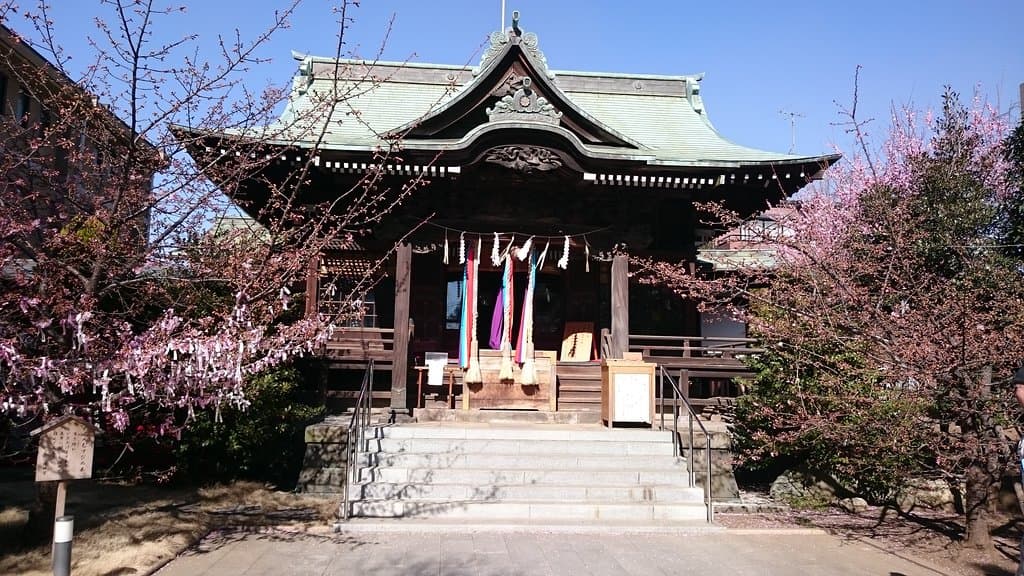 Sakura Jingu Shrine