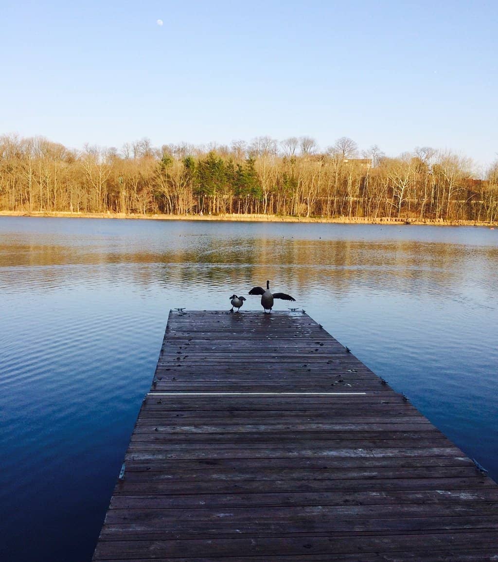 Bailey Park Playground