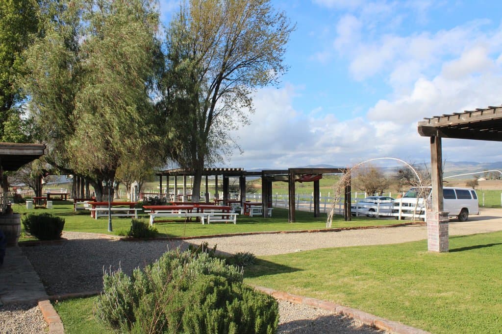 The Grounds