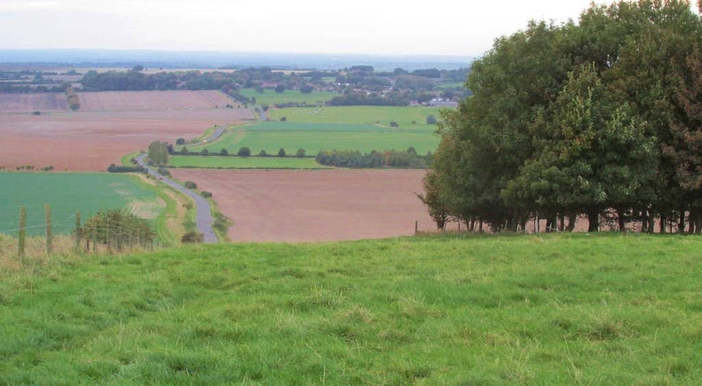 Panoramic Hilltop Views