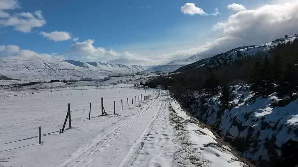 Whale Watching in Eyjafjörður