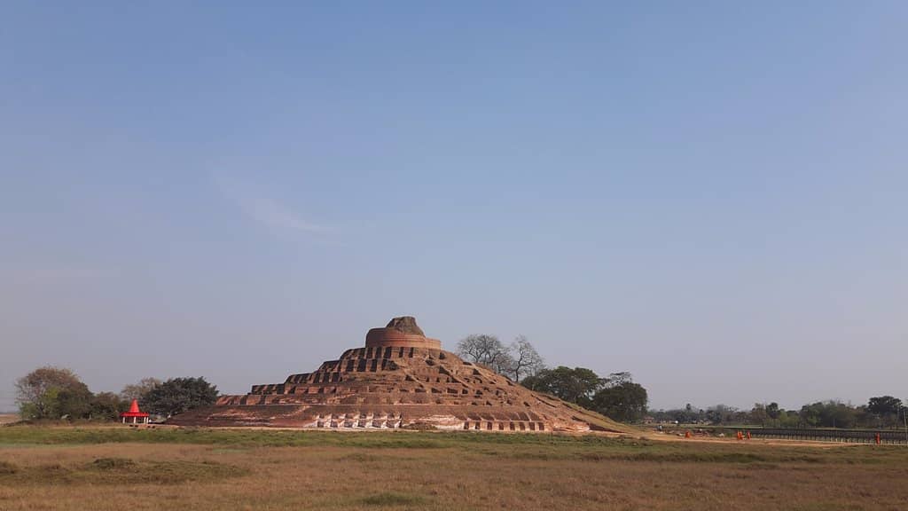 Vegetation-Covered Ruins