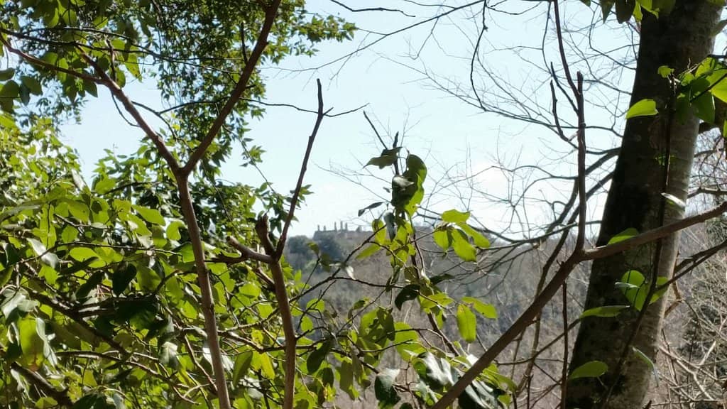 Well-Maintained Trails