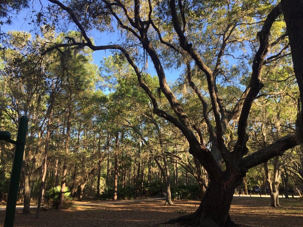 Moss Park Orlando