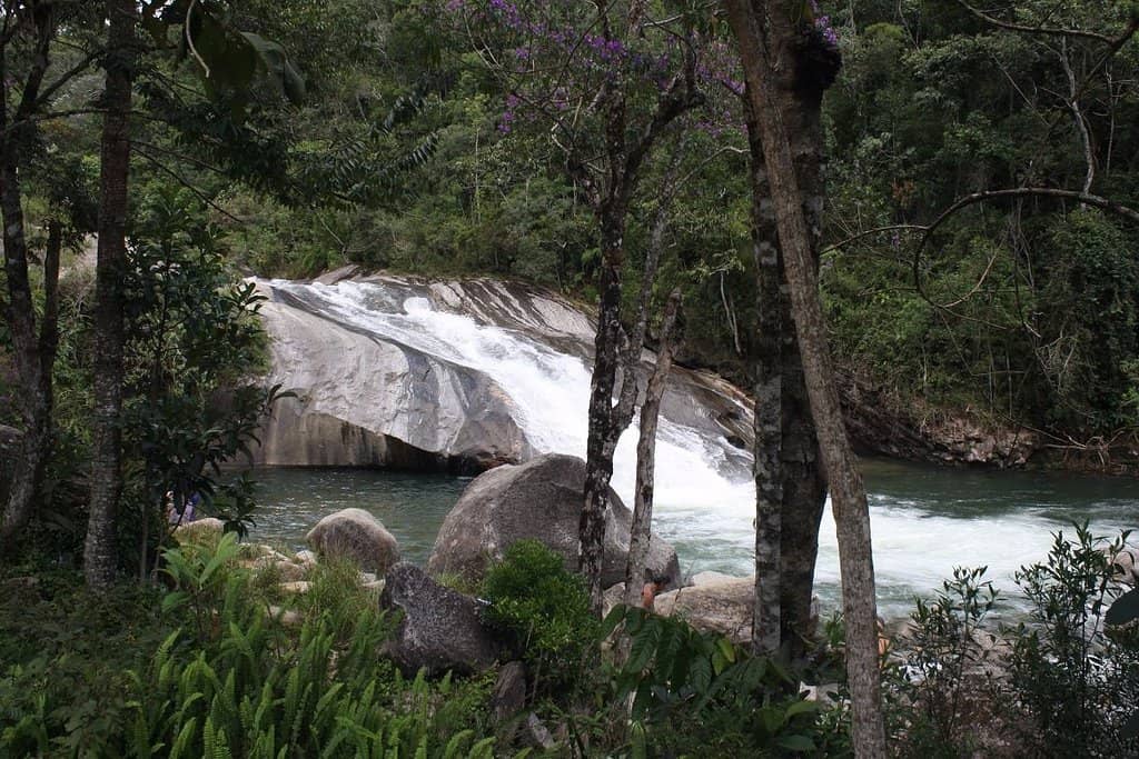 Picturesque Rainforest Setting