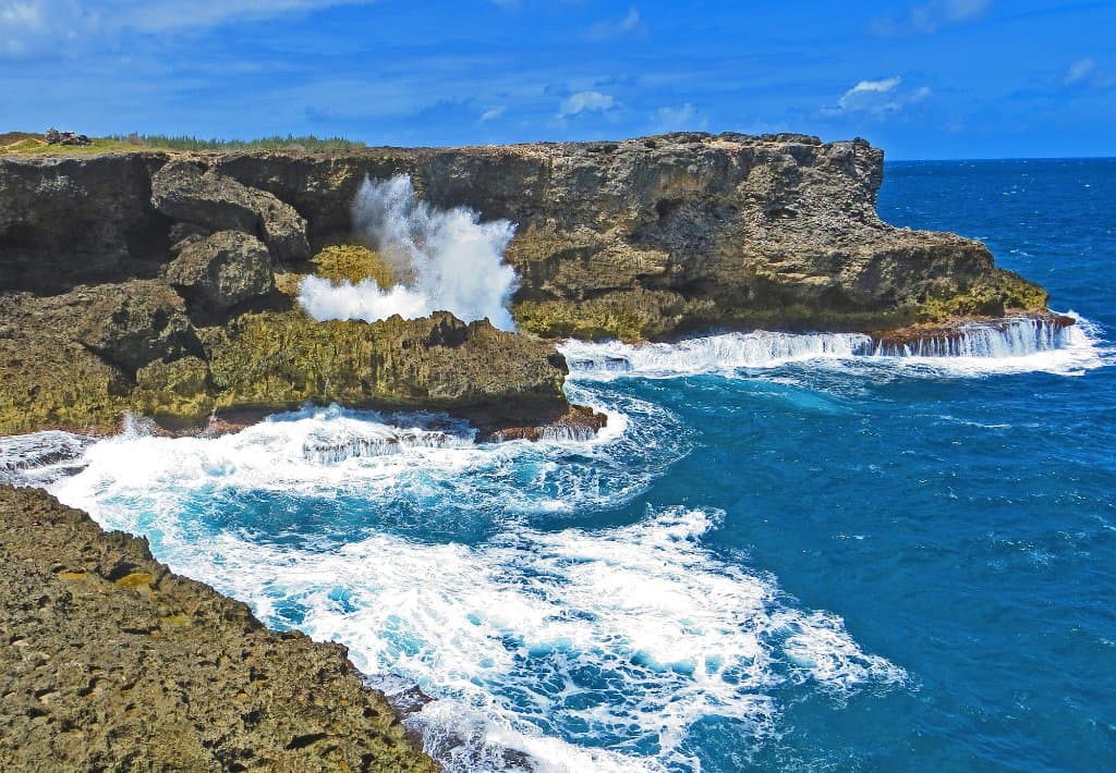 Above Animal Flower Cave, Barbados